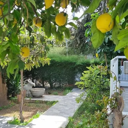 Elpida Lemon Garden House 別荘 リマソール